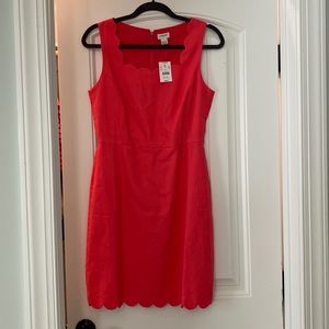 NWT JCrew Scallop Dress